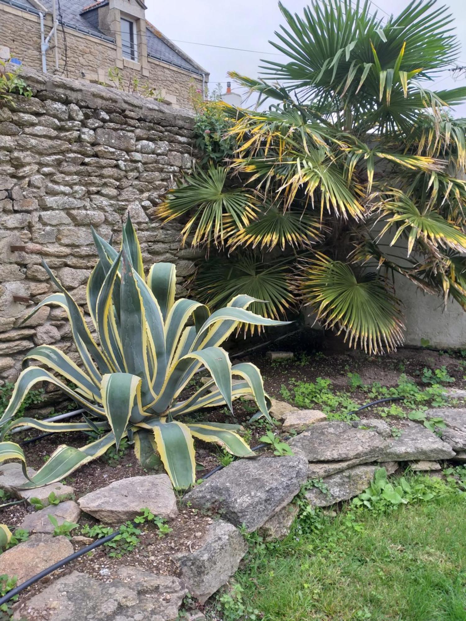 Manoir St Yves -Gite Quiberon Buitenkant foto